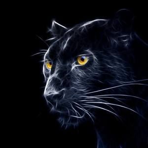 Meet your Posher, Hector